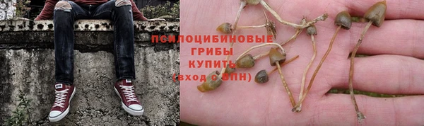 дмт Абдулино