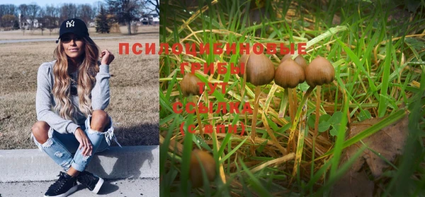 дмт Абдулино