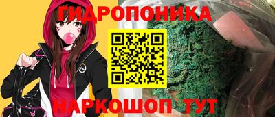 СК Будённовск